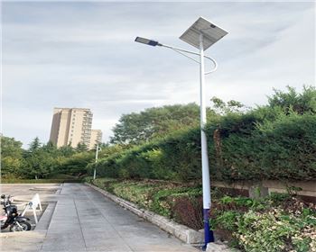 西北政法大學長安校區6米太陽能路燈項目